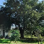 Gaia Villa *