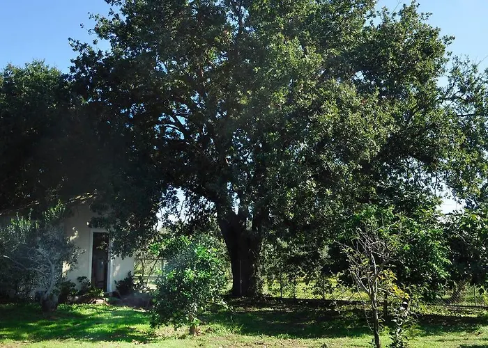 Gaia וילה *